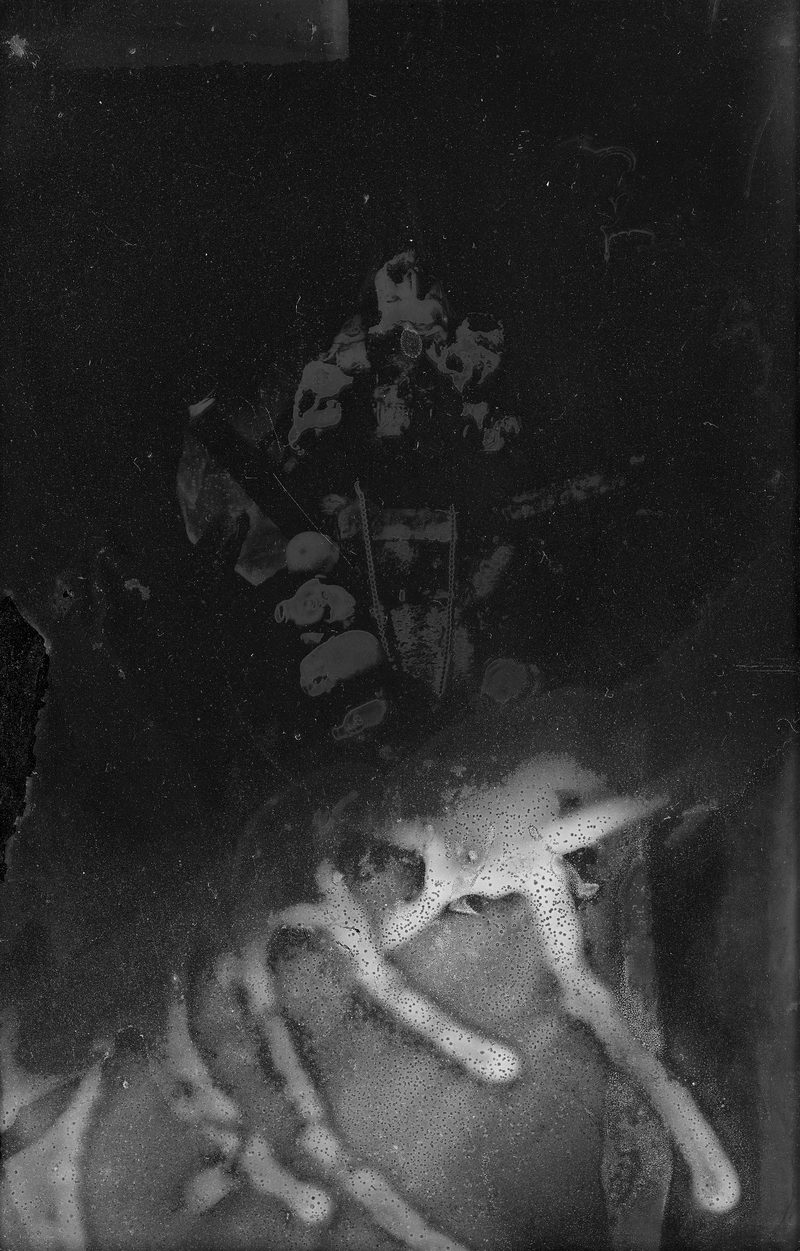 Aqua Vitae — Wet-plate collodion photograph 09