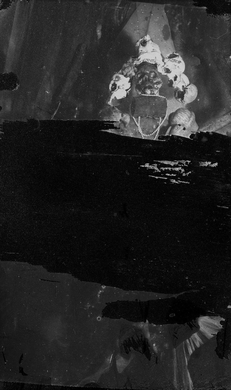 Aqua Vitae — Wet-plate collodion photograph 10