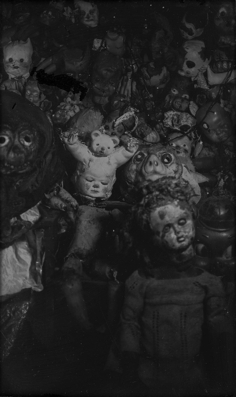 Aqua Vitae — Wet-plate collodion photograph 12