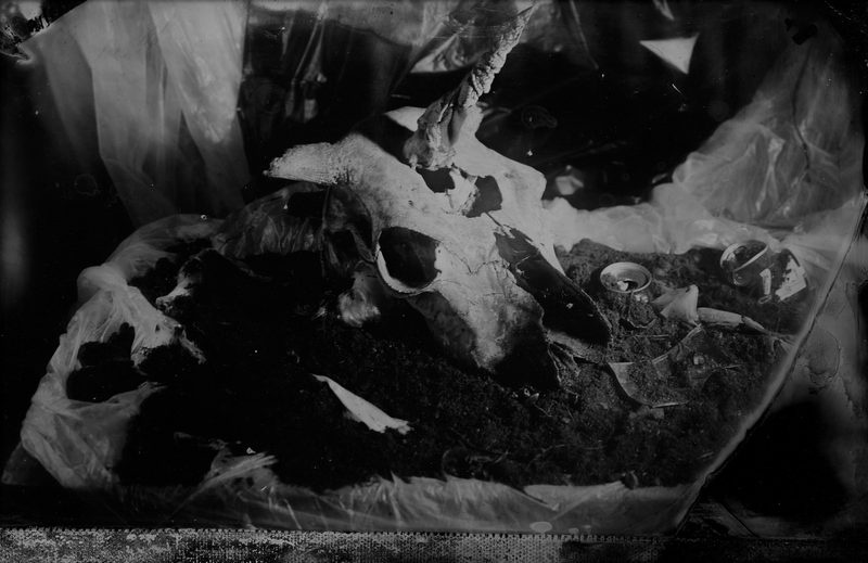 Aqua Vitae — Wet-plate collodion photograph 19