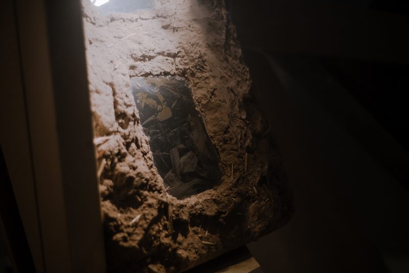 Aqua Vitae — Casa Fósfora, 2026 — Fotografía de la exposición 2