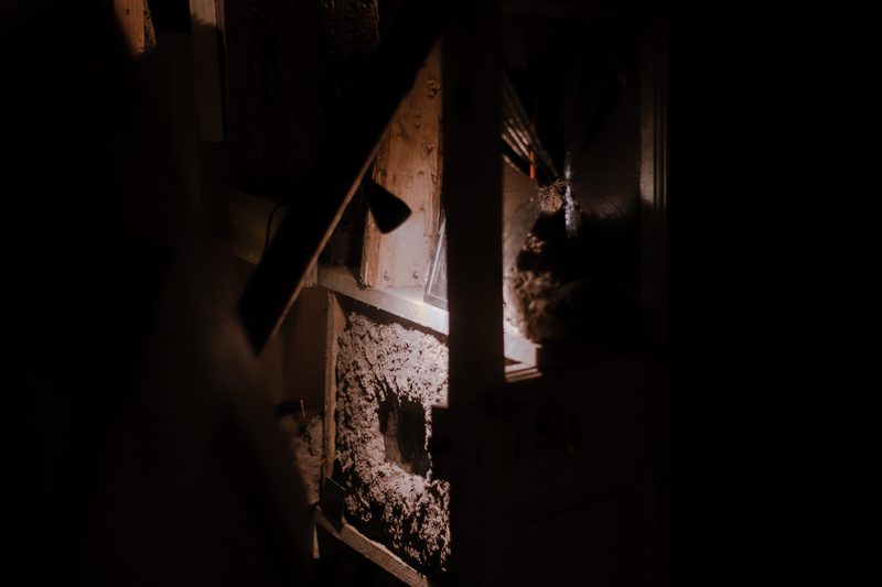 Aqua Vitae — Casa Fósfora, 2026 — Fotografía de la exposición 15