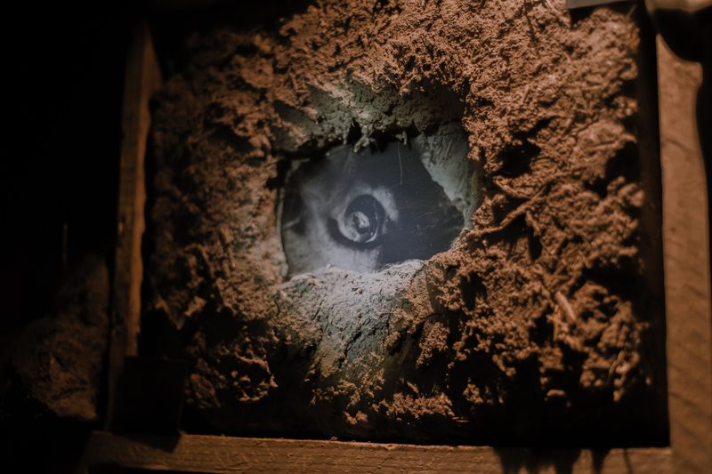 Aqua Vitae — Casa Fósfora, 2026 — Fotografía de la exposición 16