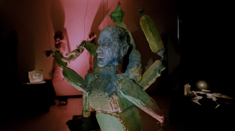 Aqua Vitae — Tagua Tagua, 2026 — Fotografía de la exposición 2