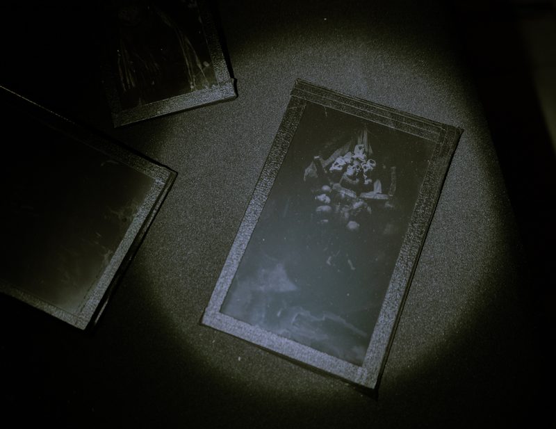 Aqua Vitae — Tagua Tagua, 2026 — Fotografía de la exposición 3