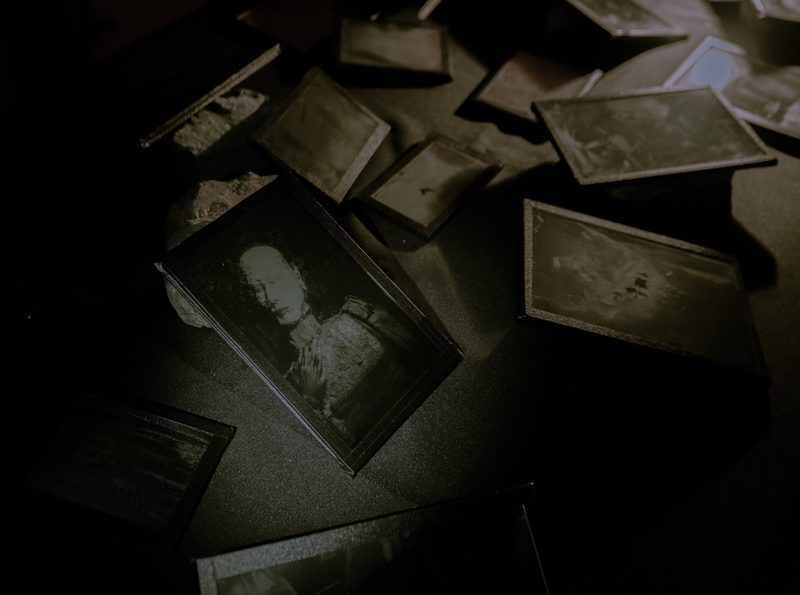 Aqua Vitae — Tagua Tagua, 2026 — Fotografía de la exposición 4