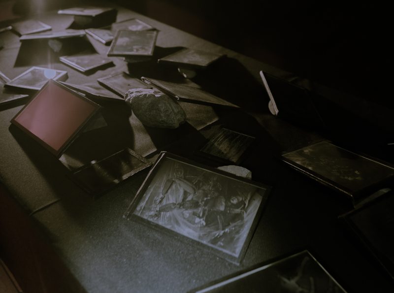 Aqua Vitae — Tagua Tagua, 2026 — Fotografía de la exposición 7