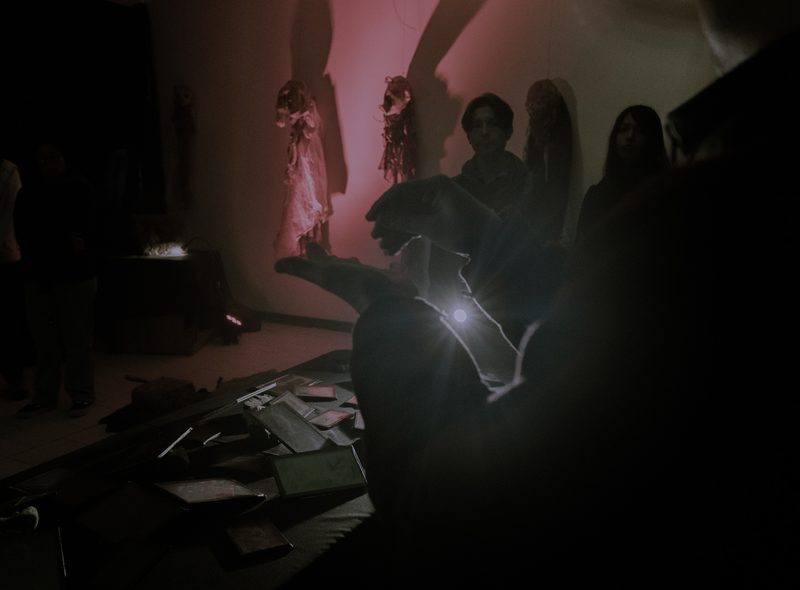 Aqua Vitae — Tagua Tagua, 2026 — Fotografía de la exposición 9