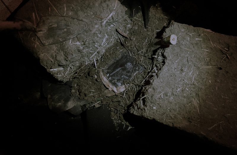 Aqua Vitae — Tagua Tagua, 2026 — Fotografía de la exposición 15