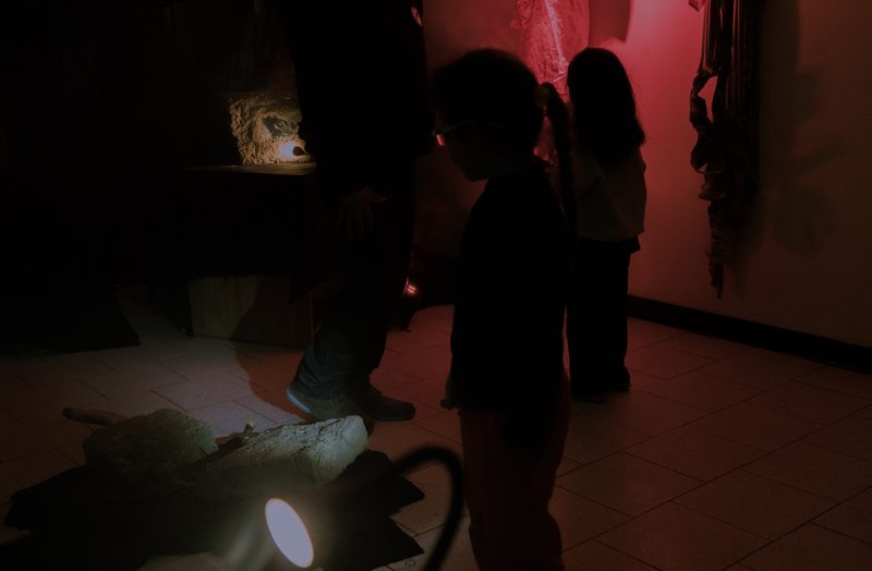 Aqua Vitae — Tagua Tagua, 2026 — Fotografía de la exposición 17
