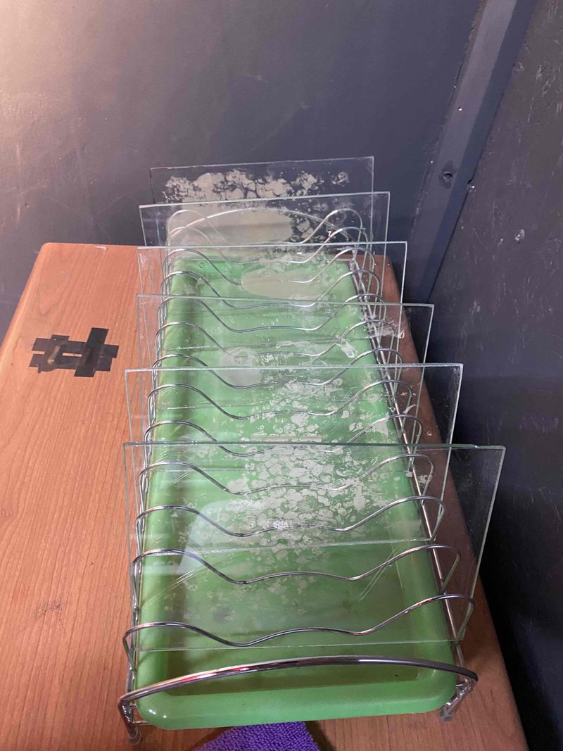 Collodion Journal — process photograph 22
