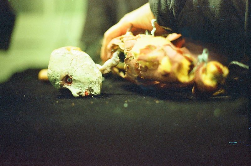 Merrimundi — realización, fotografía 5