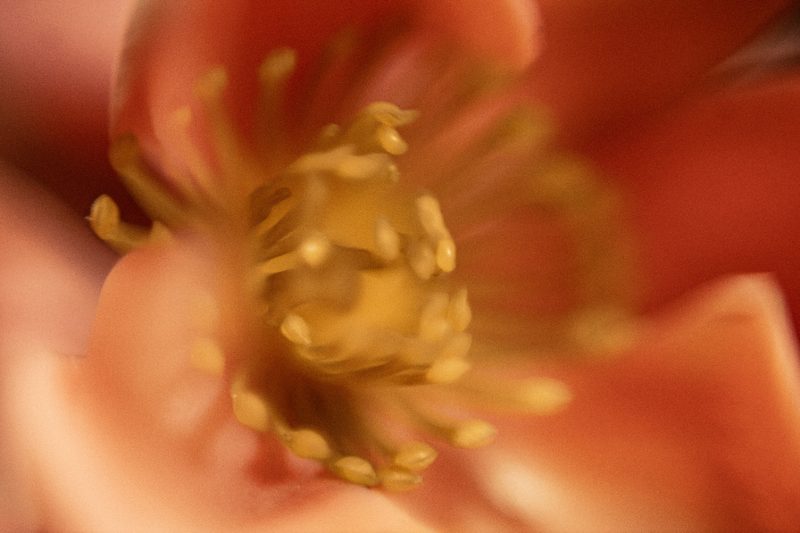 Merrimundi — realización, fotografía 16